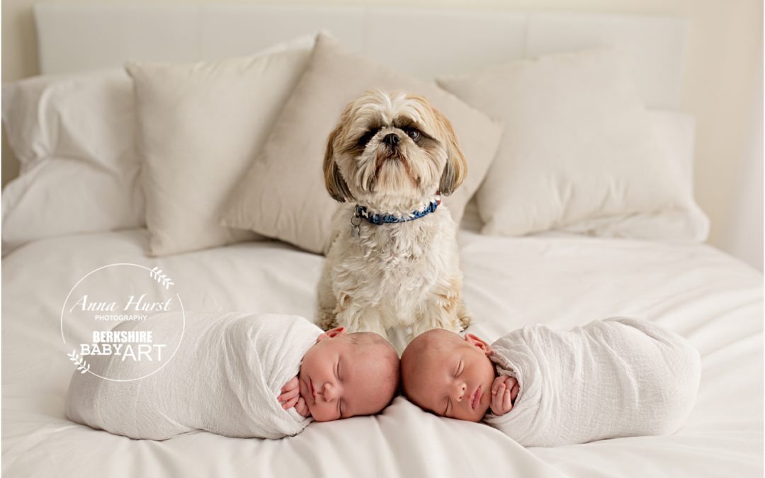 Woodley Newborn Baby Photographer | Arya & Dexter Newborn Twins 18 Days Old