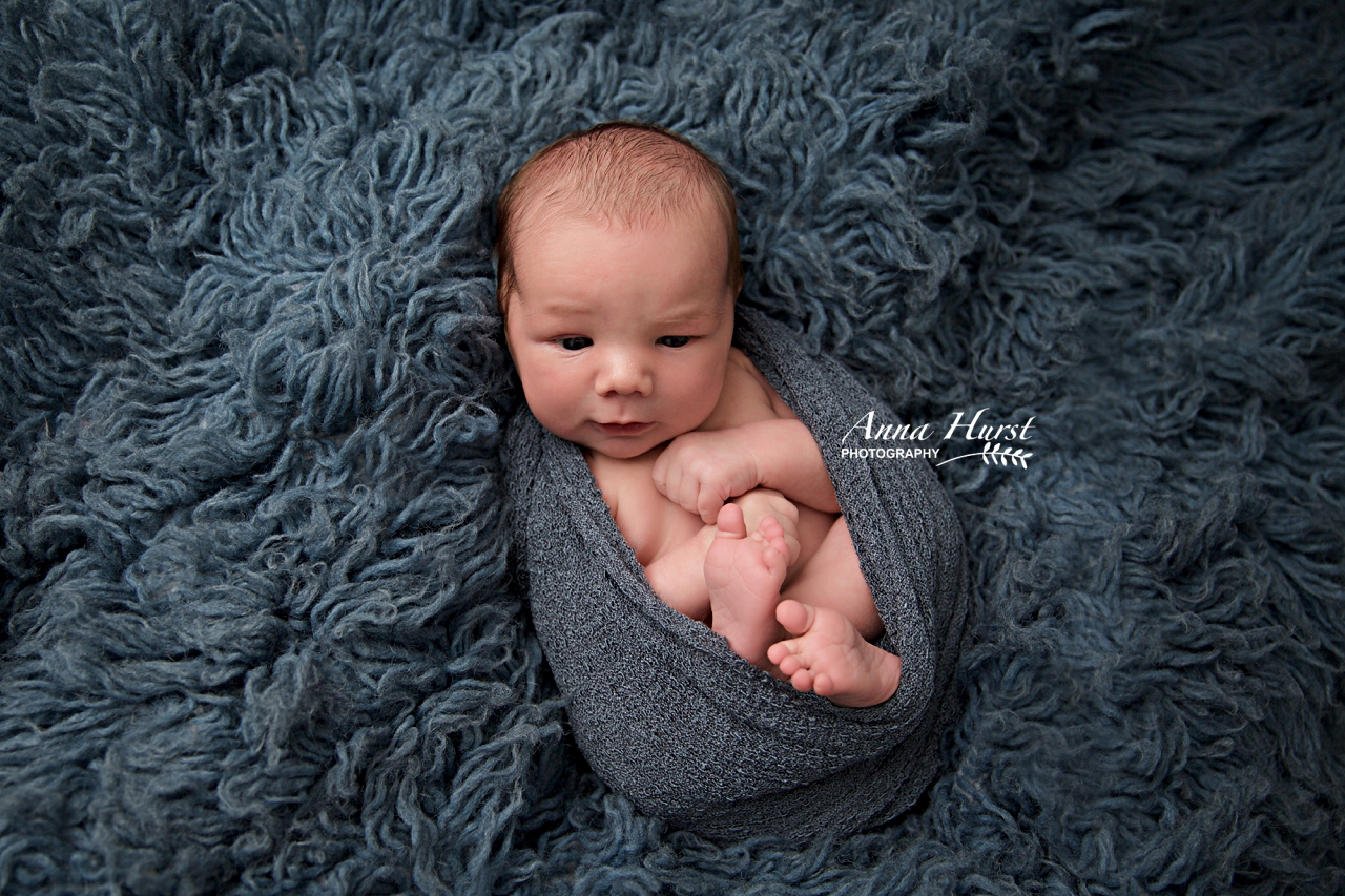 Windsor Newborn Photography