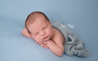Windsor Newborn Photography | Baby Austin